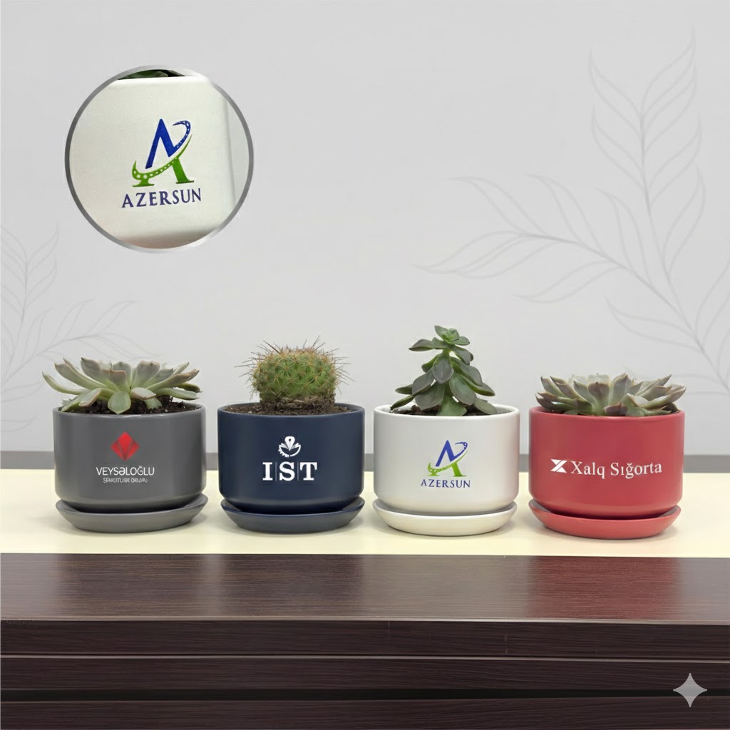 Dibçək (bitki ilə)